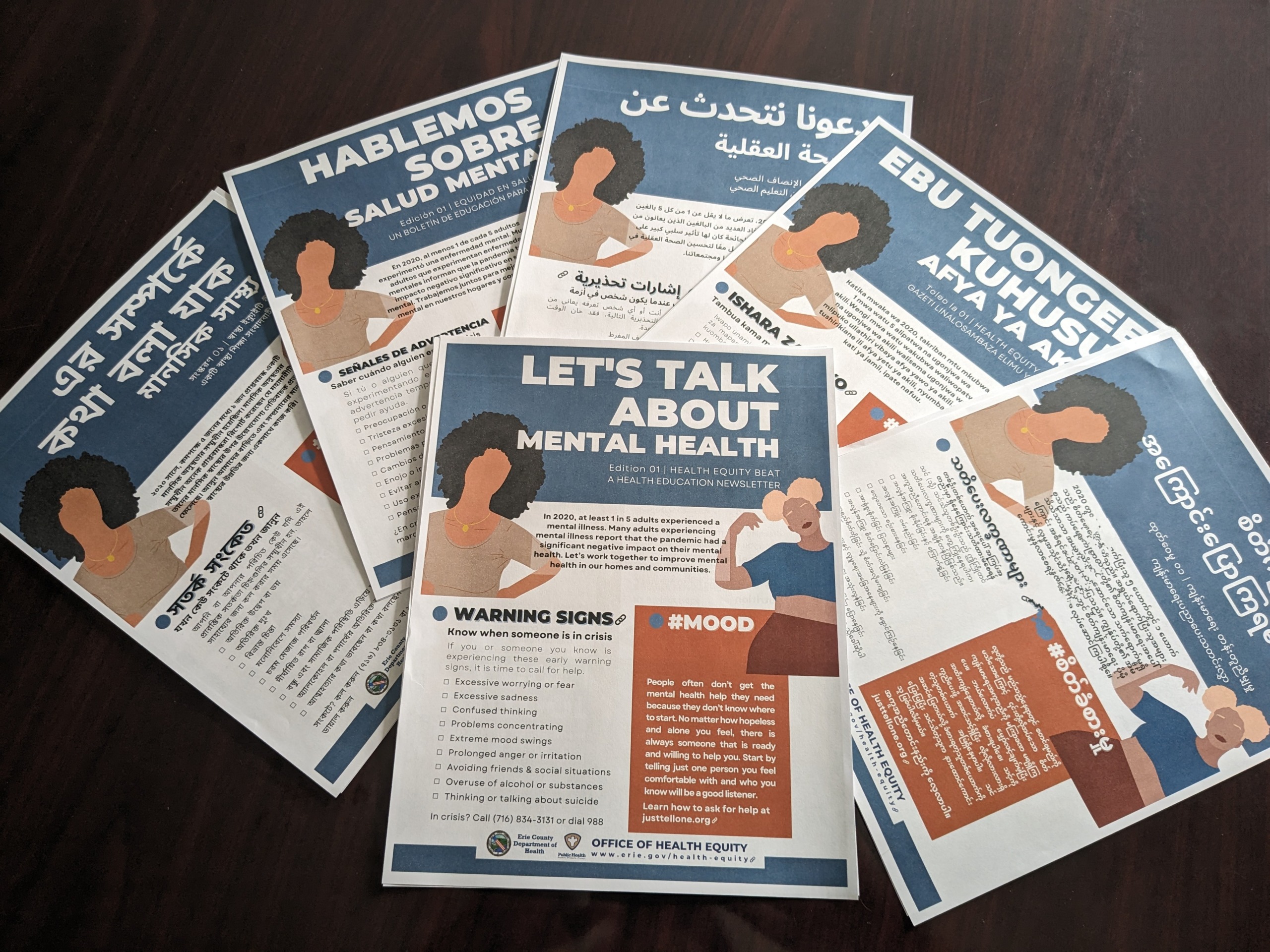 IIB Translates Erie County Department of Health Newsletters in six languages